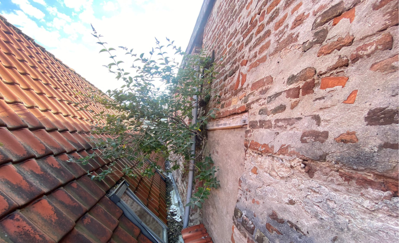 Subsidie Instandhouding Monumenten